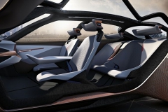 BMW Vision Next 100 concept